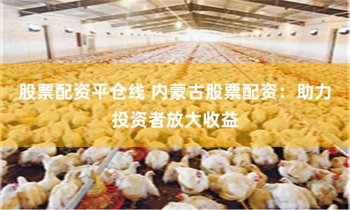 股票配资平仓线 内蒙古股票配资:助力投资者放大收益